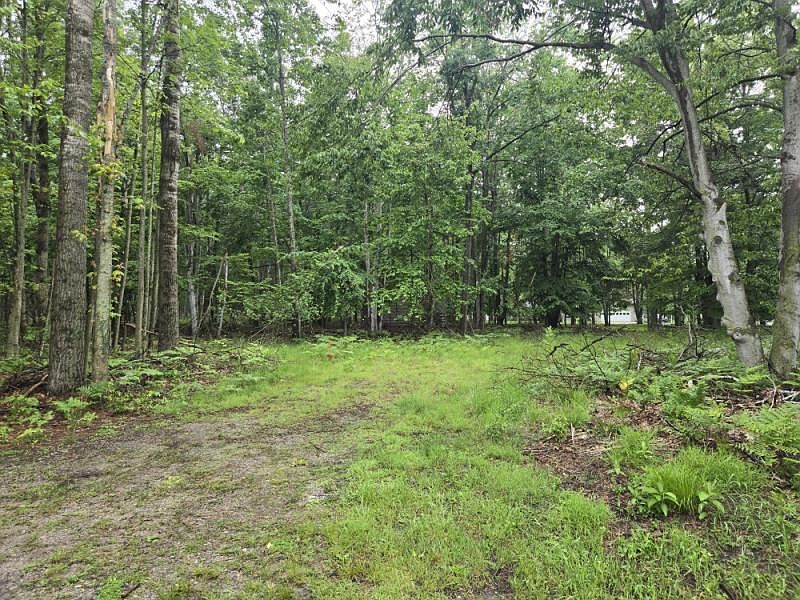 1st image of Owl Rd
