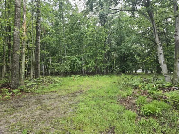 Owl Rd, Lincoln, MI 48742