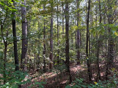 0 Cobb Bridge Rd, Westminster, SC, 29693