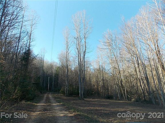 5th image of White Springs Ln
