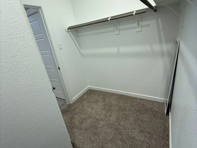 Spacious walk-in closet with carpeted flooring, a long hanging rod, and upper shelf storage for easy organization.