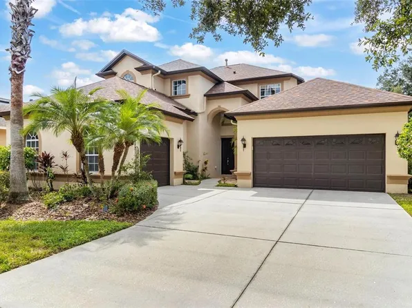 20404 Walnut Grove Ln, Tampa, FL 33647