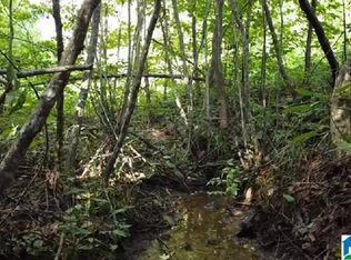 0 County Road 121 #1, Verbena, AL 36091