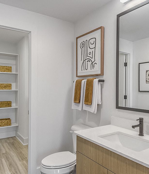 Modern bathrooms