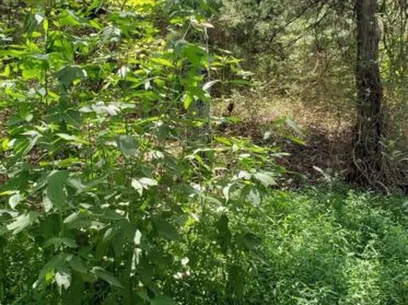 5 Treeline Dr, Dunlap, TN 37327