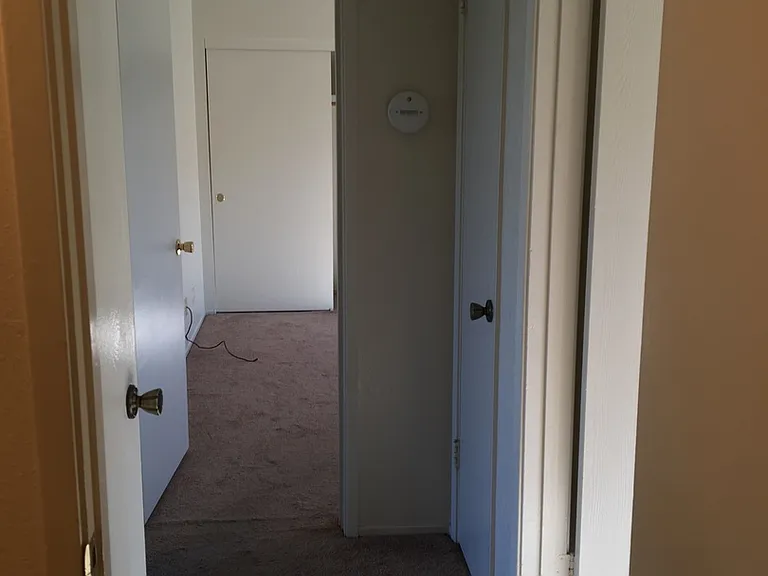 3153 Eucalyptus St — Photo 7