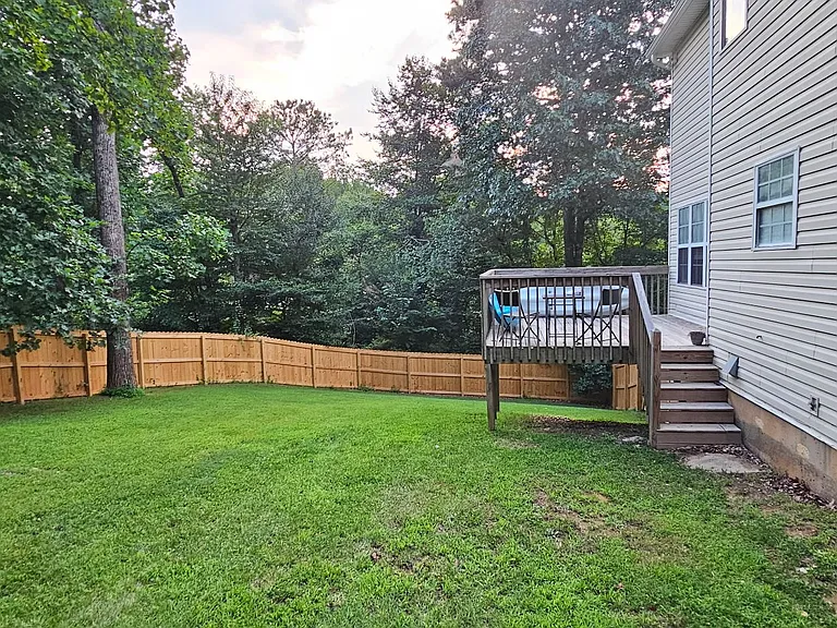 Back yard