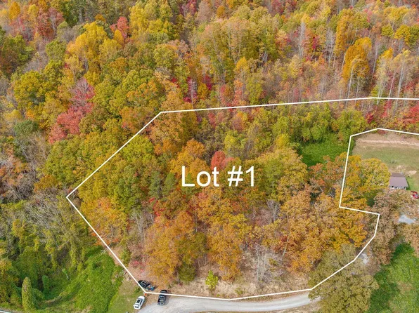 Majestic Dr Lot 1, Duffield, VA 24244