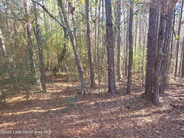 McCain Rd, Eclectic, AL 36024