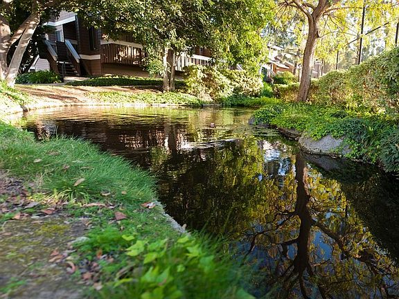 Beautiful Ponds and Streams