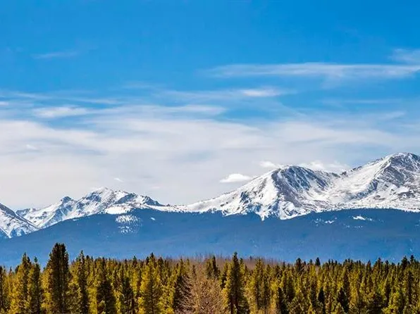 251 Virginia Avenue, Leadville, CO 80461