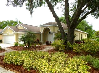 315 Yellow Birch Loop, Brandon, FL 33511