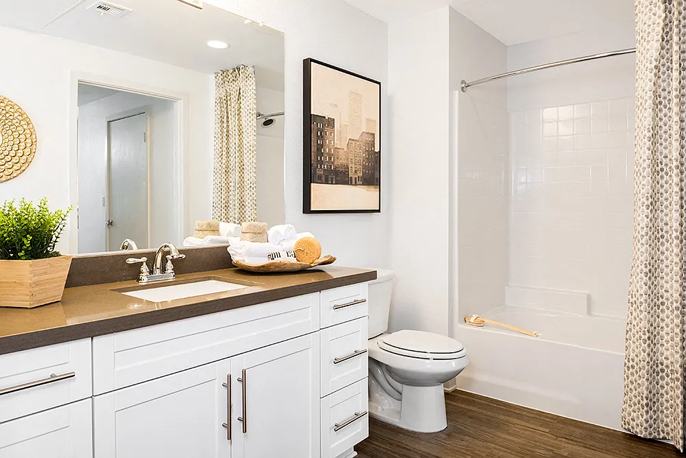 Apex Laguna Niguel Apartments — Photo 4