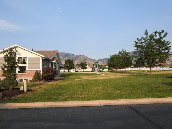 south side of house and park