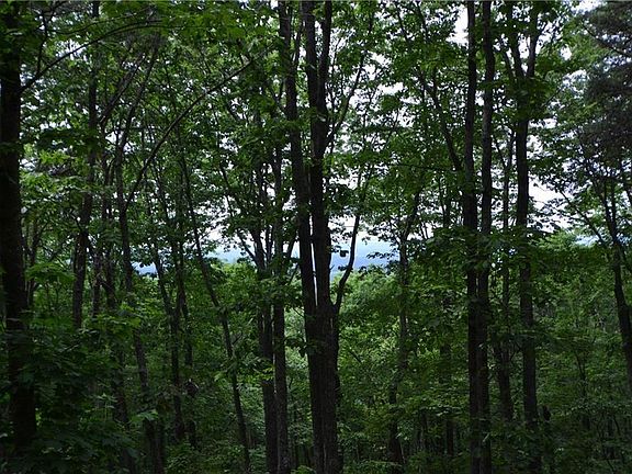 4th image of 206R Mystic Trail Ln Lot 206R