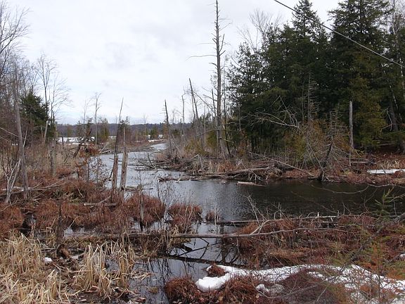 4th image of Harbor Hwy