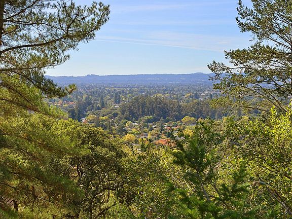 2nd image of 3600 Holly Ridge Drive