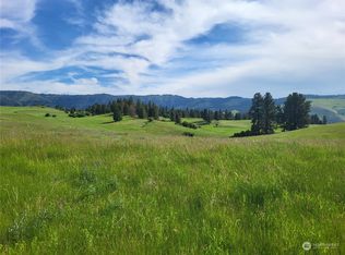 0 Xx Cougar Creek Rd, Anatone, WA 99401