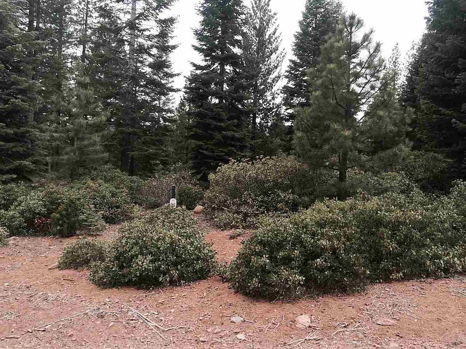 2nd image of 178 Fox Pine Dr