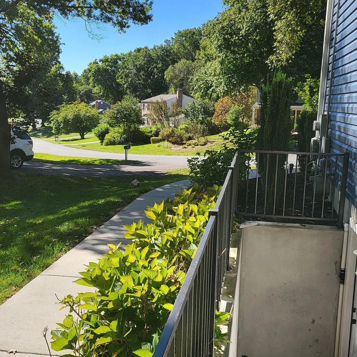 2 bed, 2080 sqft, $2,000 — Photo 3