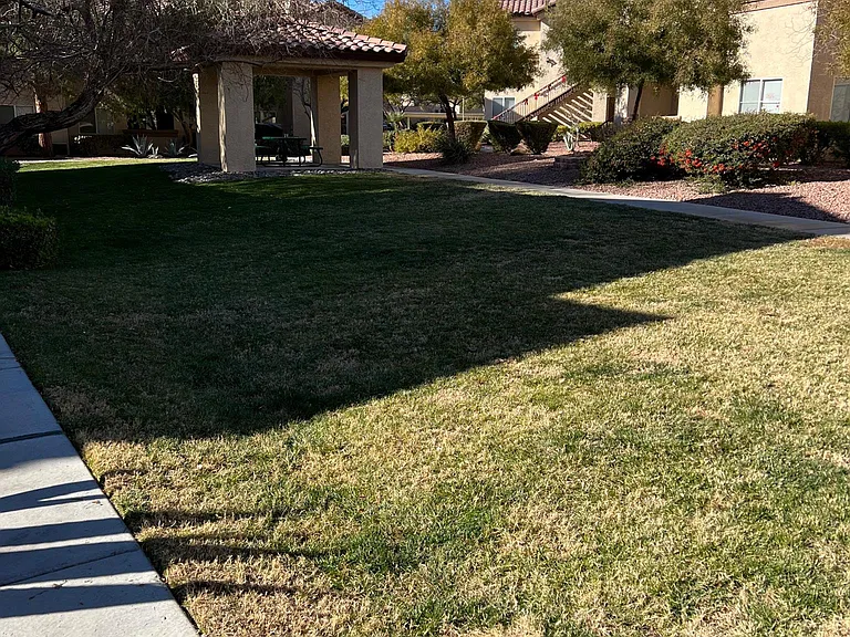 Grass Area