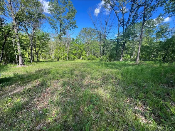 Temperance Valley Rd, Goodman, MO 64843