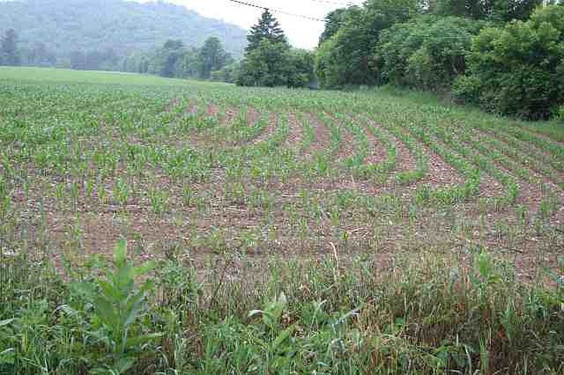 4th image of 0 MCNEIL Road