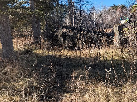 3rd image of 57197 Nature Ave