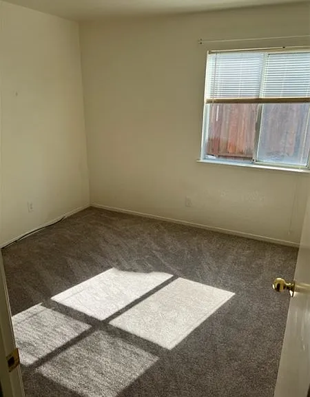 2502 Drummond Dr — Photo 7