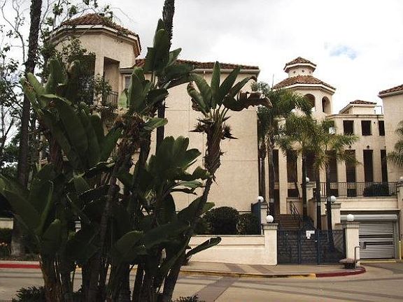 2nd image of 550 Camino De La Reina Unit 109