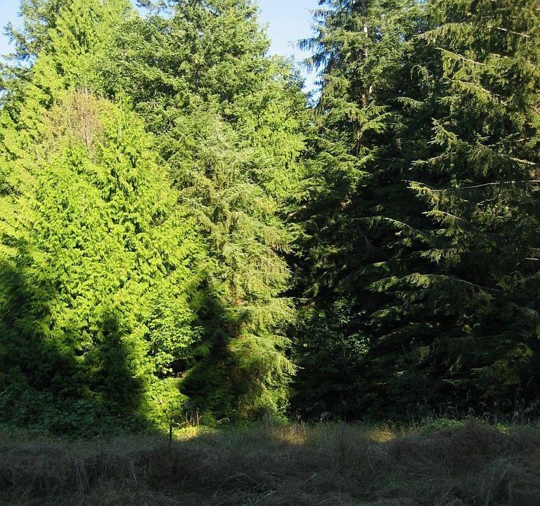 1st image of 0 El Camano St