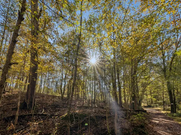 7489 Shoals Branch Rd, Primm Springs, TN 38476