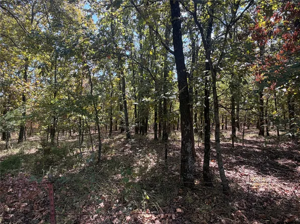 E Davis Rd, Lane, OK 74555