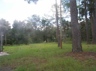 54220 3rd St, Astor, FL 32102