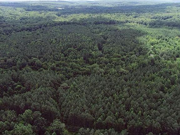 The timber on the property is well-established pine and mixed hardwoods. 