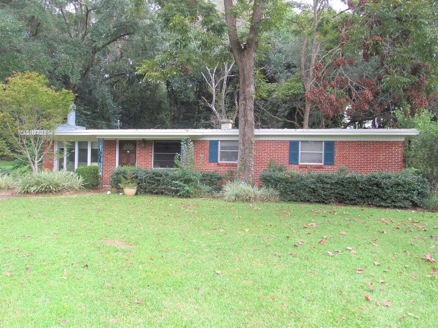 HUGE 4/2 - Walk to FSU! Available 2027!! — Photo 1