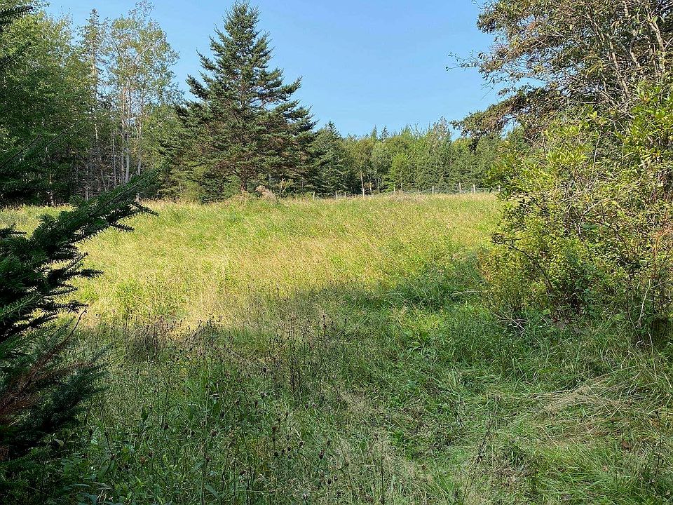 2nd image of Chestnut Rd