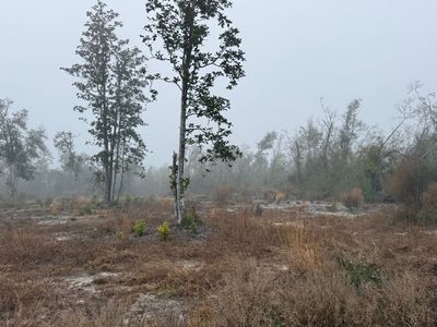 0 NW 27th Trl, Jennings, FL, 32053