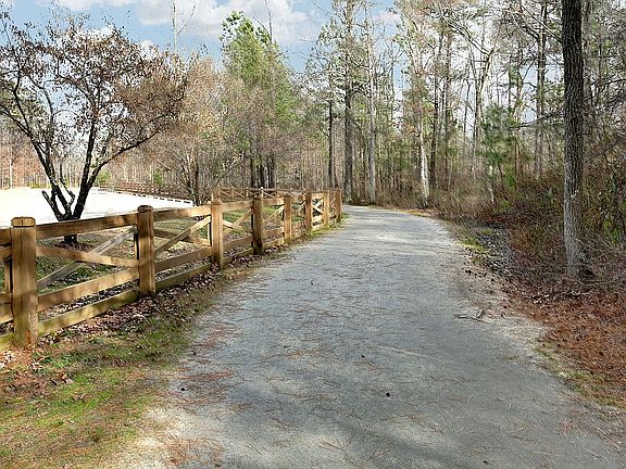 Trails and biking