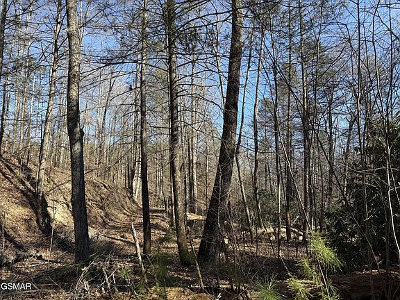 5th image of 805 Bogard Creek Rd Lot 0