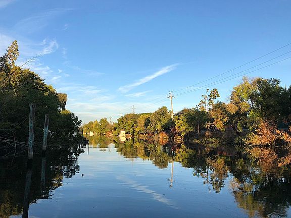 View from Dock