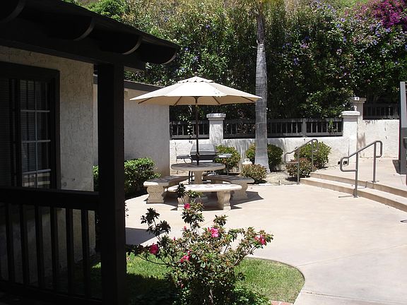 Shared Patio