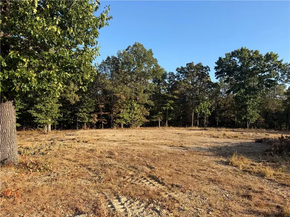(undisclosed Address), Decatur, AR 72722