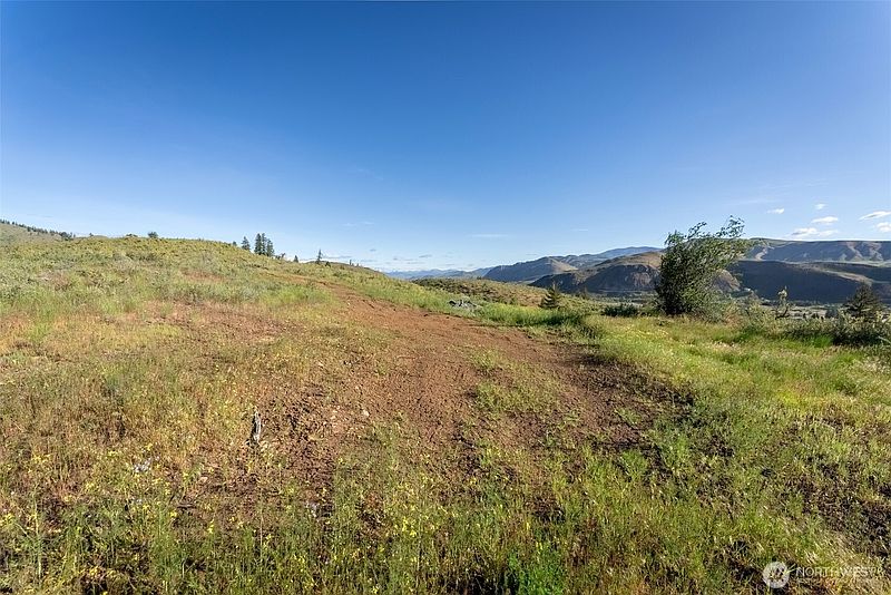 3rd image of 0 TBD Alder Road