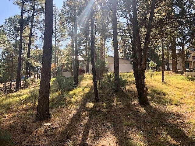 1st image of 111 Tanglewood Ln