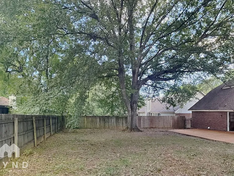 7002 Timber Rise Cv — Photo 23