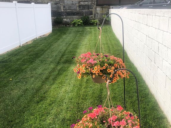 Rear lawn