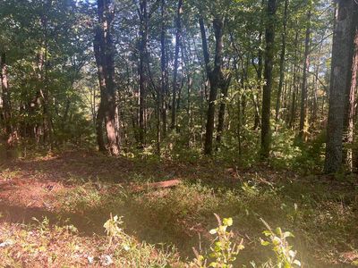 0 Boone Ct, Ellijay, GA, 30540