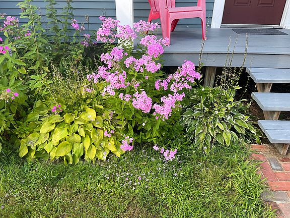 5th image of 258 South Rd