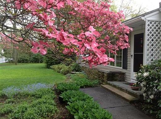 2nd image of 39 Hazelwood Ave